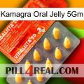 Kamagra Oral Jelly 5Gm new01